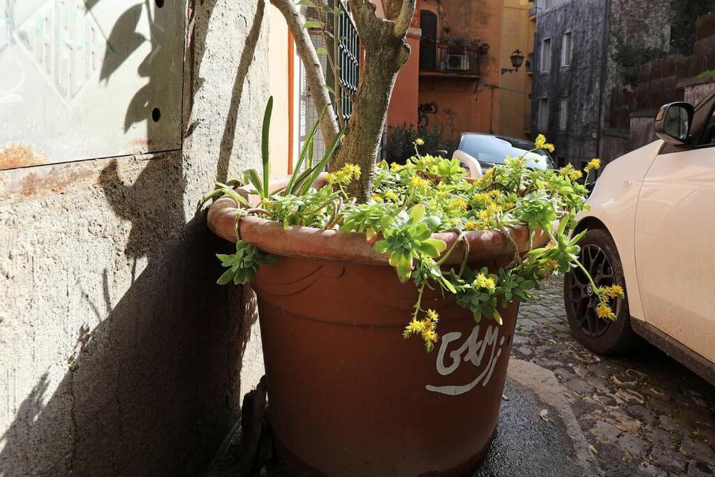 Navona Wooow 5 Minutes Walk Apartment Rom